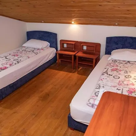 стария чинар 2* メルニック