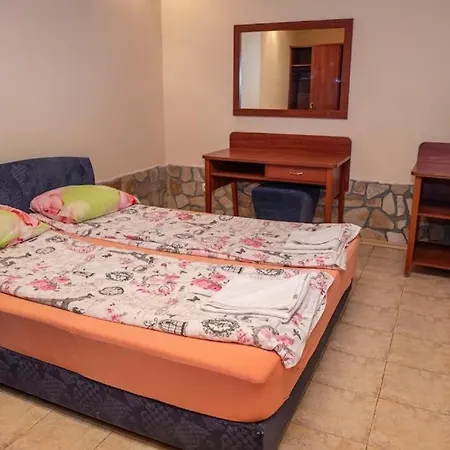 стария чинар ホテル 2*